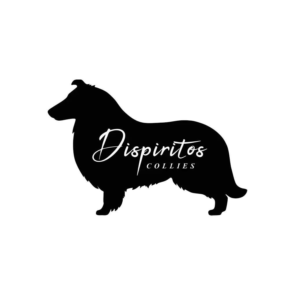 Kennel Dispiritos